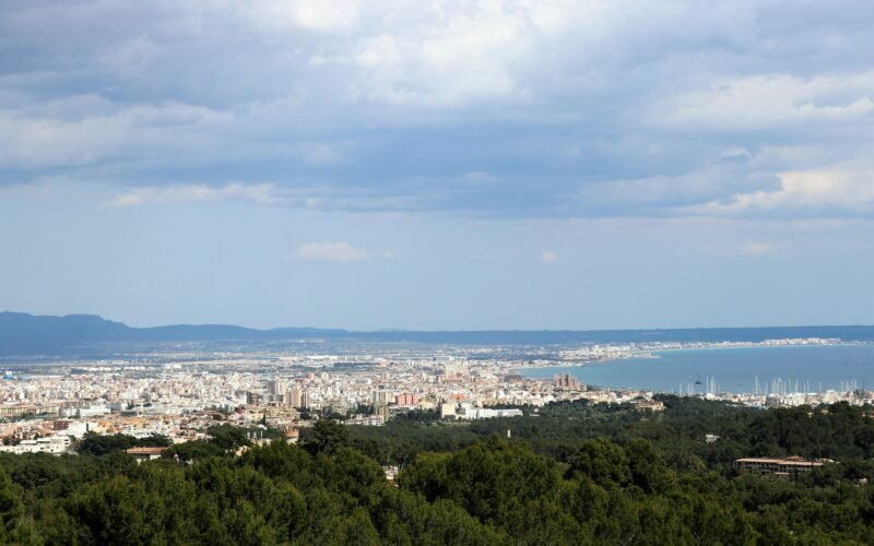 Stadt auf Mallorca mit Bäumen und Wasser im Hintergrund, aufgenommen von Clemens van Lay