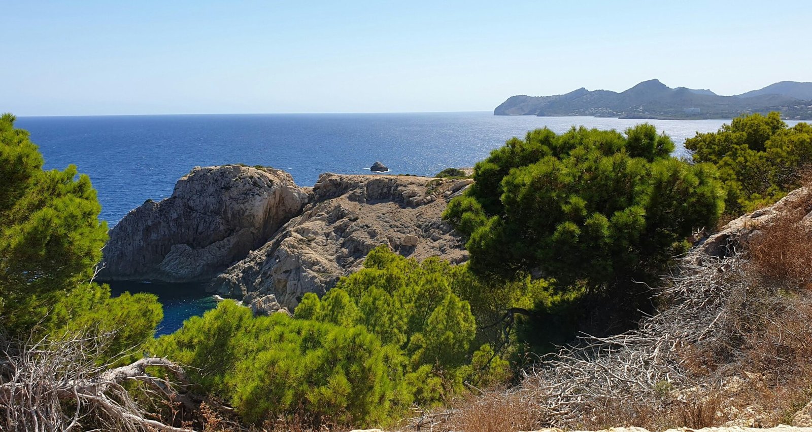 Grüne Bäume auf Mallorca vor einem braunen felsigen Berg bei Tageslicht, aufgenommen von Serhat Köylüce