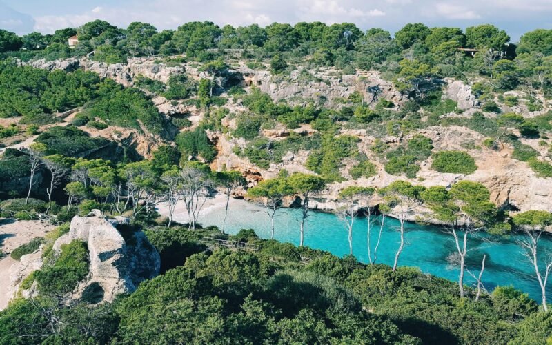 Luftaufnahme von Bäumen und Wasser auf Mallorca, aufgenommen von Reiseuhu