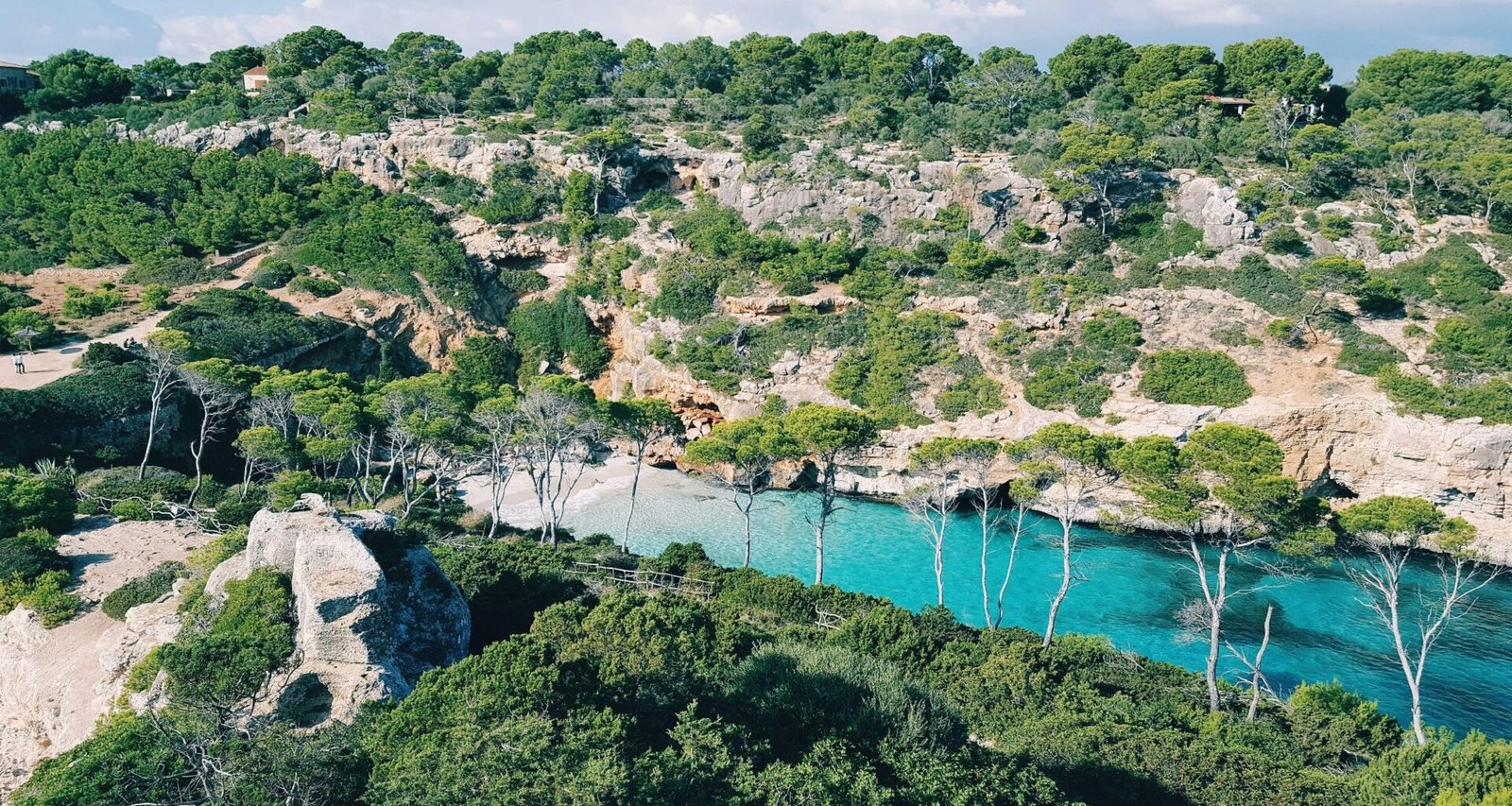 Luftaufnahme von Bäumen neben Wasser auf Mallorca, fotografiert von Reiseuhu