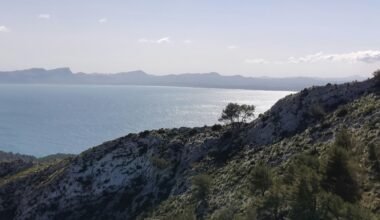 Blick auf Wasser von einem Hügel auf Mallorca, aufgenommen von Muzykalne Podróże