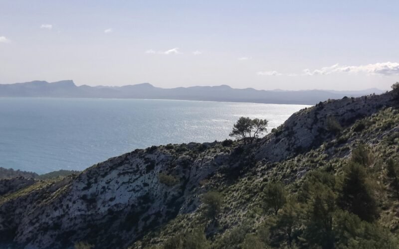 Aussicht auf Wasser von einem Hügel auf Mallorca, aufgenommen von Muzykalne Podróże
