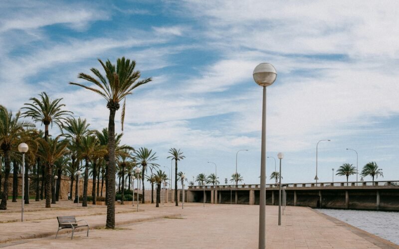 Eine Bank neben einem Wasser auf Mallorca, aufgenommen von Julian, bietet eine ruhige Aussicht.