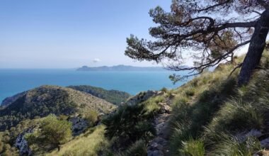Aussicht auf Mallorca vom Hügel mit Blick auf das Meer, aufgenommen von Muzykalne Podróże