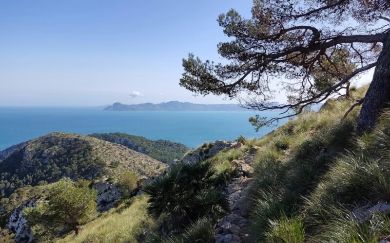 Aussicht auf Mallorca vom Hügel mit Blick auf das Meer, aufgenommen von Muzykalne Podróże