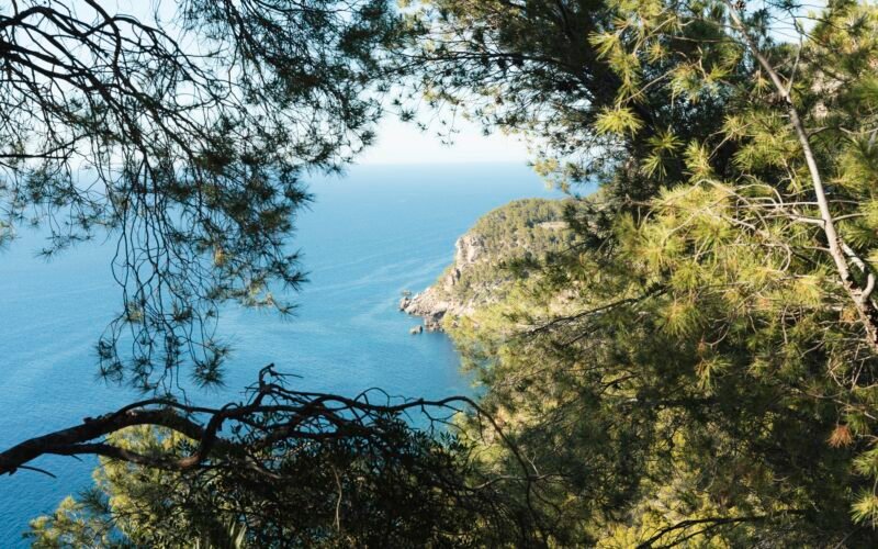 Küstenansicht auf Mallorca mit Bäumen im Vordergrund und Blick aufs Meer, fotografiert von Nick Andreas