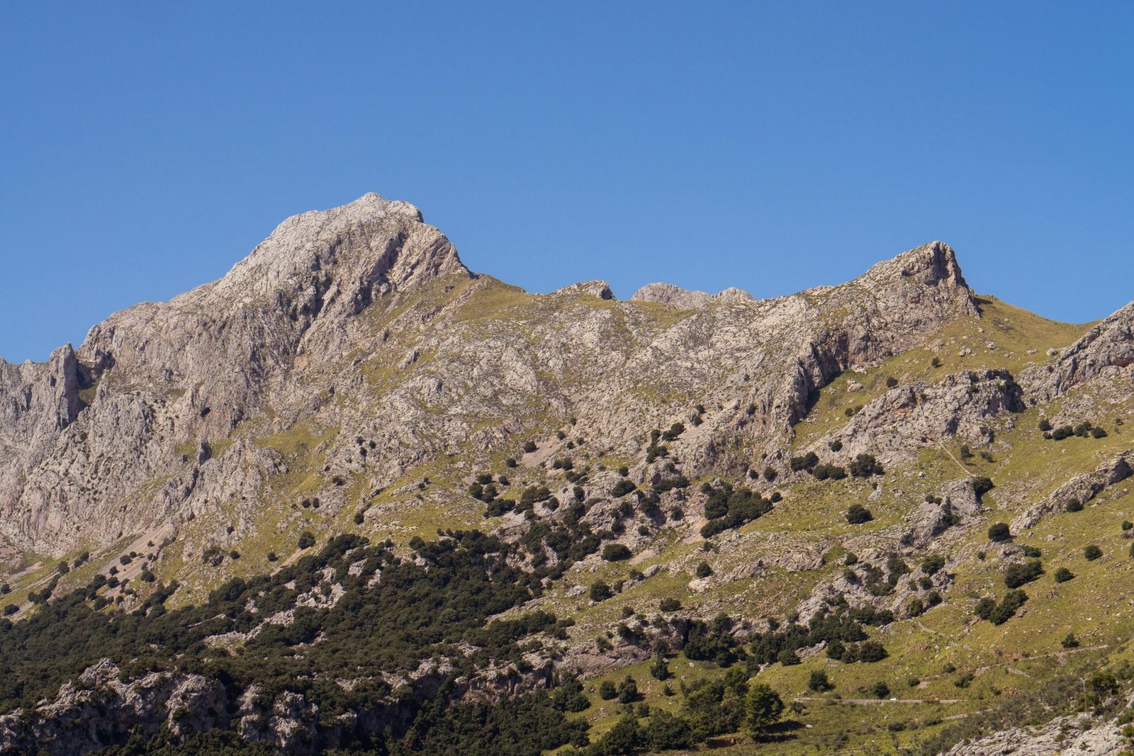 Bergkette auf Mallorca gesehen von einem Hügel aus, aufgenommen von Victor Rosario