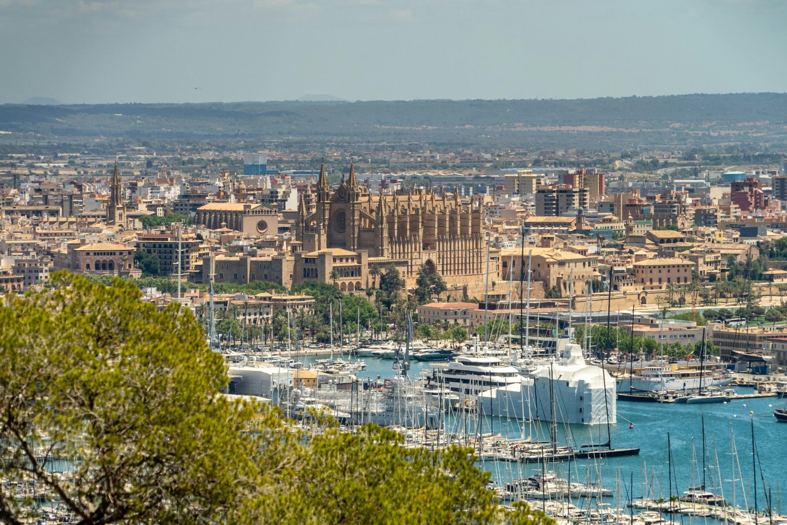 Stadtansicht auf Mallorca mit Wasser und Booten bei David Vives