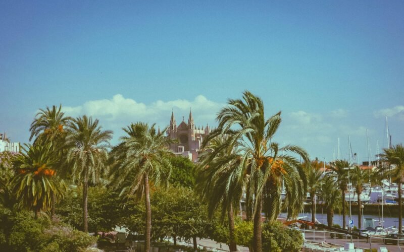 Stadtansicht auf Mallorca mit Palmen im Vordergrund, aufgenommen von Diego Marín