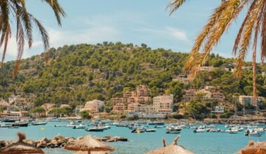 Boote liegen in einer Bucht auf Mallorca, umgeben von Palmen und Gebäuden, aufgenommen von Alexis Presa.