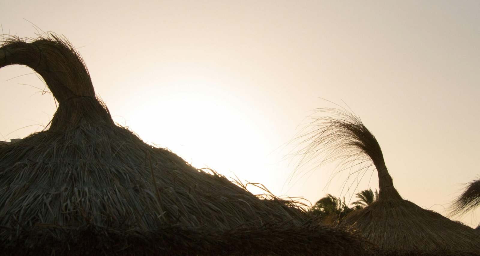 Braune Nipa-Hütte auf Mallorca, fotografiert von Joacim Bohlander, zeigt eine traditionelle Bauweise aus Naturmaterialien.