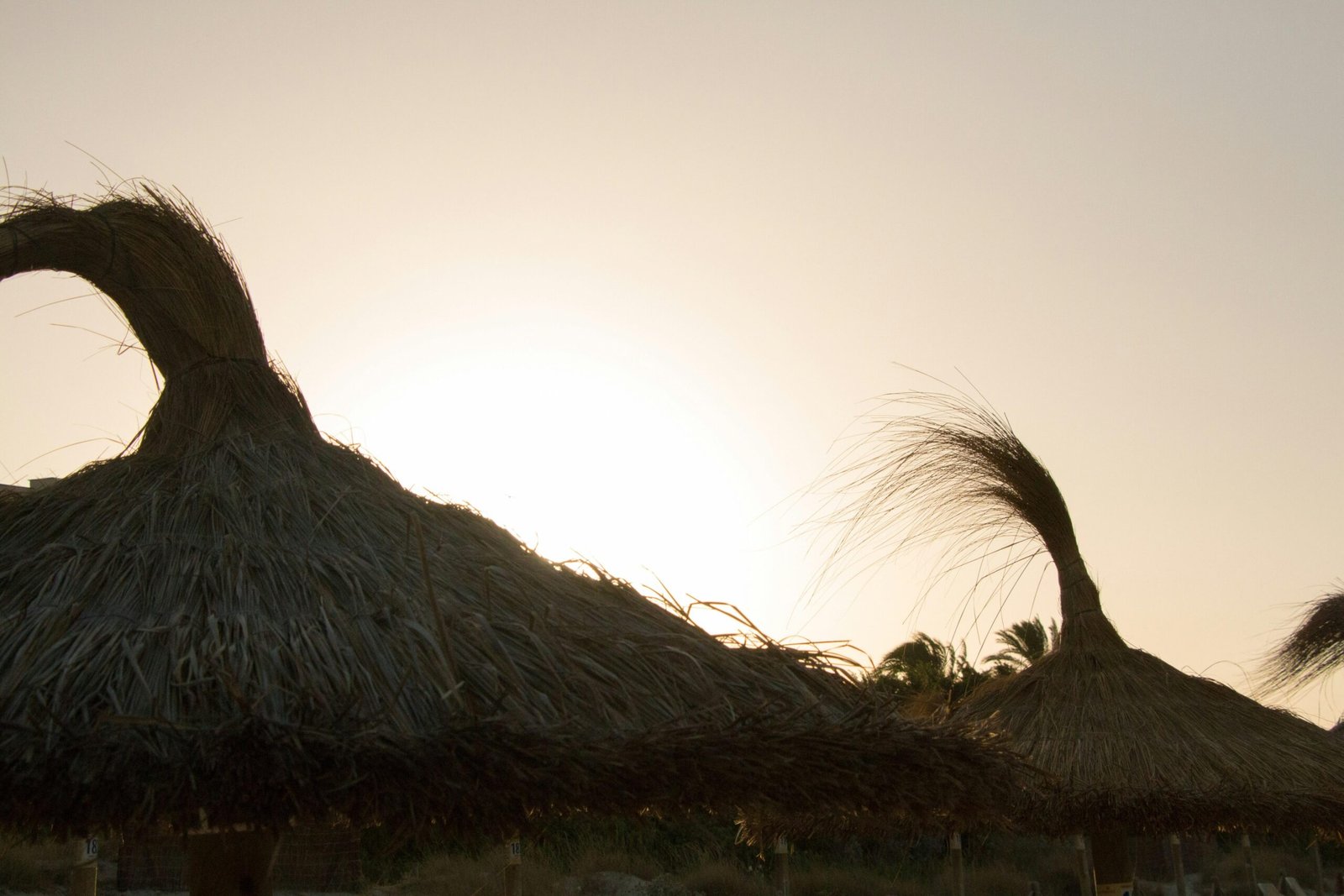 Braune Nipa-Hütte auf Mallorca, fotografiert von Joacim Bohlander, zeigt eine traditionelle Bauweise aus Naturmaterialien.