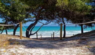 Hölzerner Bootssteg aus Holz nahe grünen Bäumen auf Mallorca bei Tageslicht, aufgenommen von Alex Kulikov