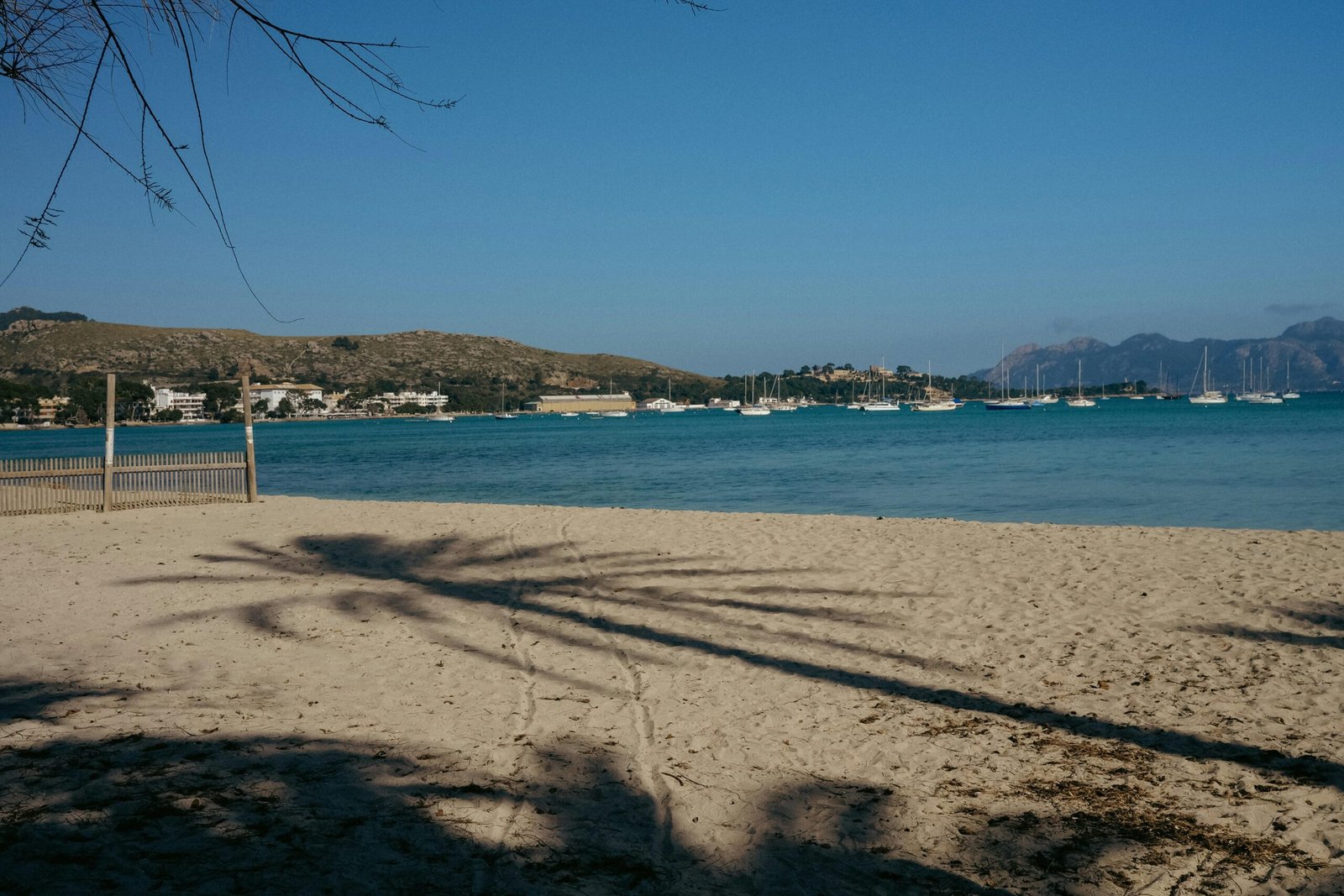 Schatten einer Palme auf Mallorca, der auf den Strand fällt, aufgenommen von Konstantin Chemeris