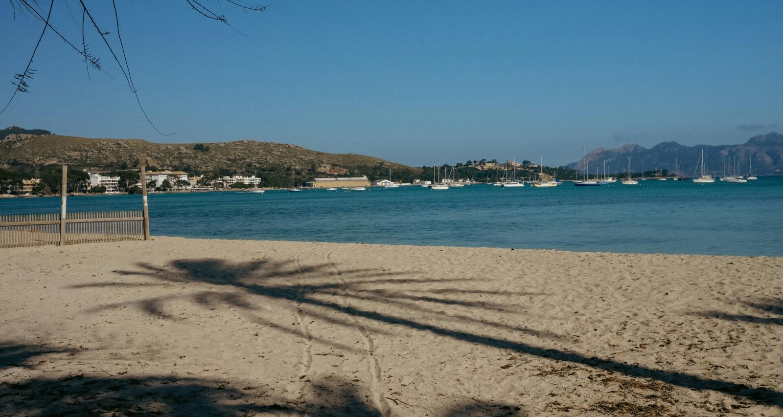 Schatten einer Palme auf Mallorca am Strand, fotografiert von Konstantin Chemeris