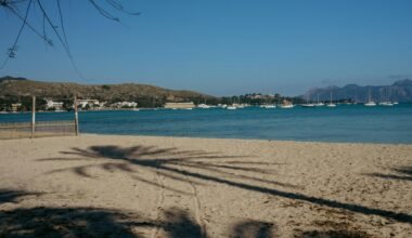 Schatten einer Palme auf Mallorca am Strand, fotografiert von Konstantin Chemeris