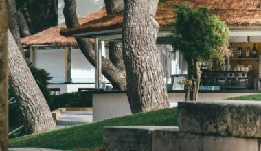 Ein Baum steht vor einem Haus auf Mallorca, aufgenommen von Yves Scheuber, zeigt die mediterrane Umgebung.