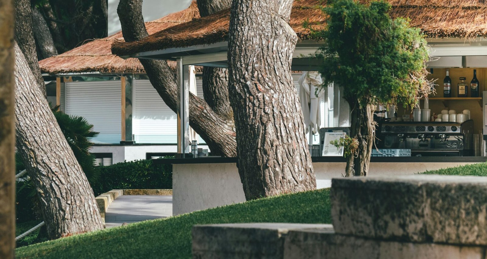 Ein Baum steht vor einem Haus auf Mallorca, fotografiert von Yves Scheuber, mit mediterraner Vegetation im Hintergrund.