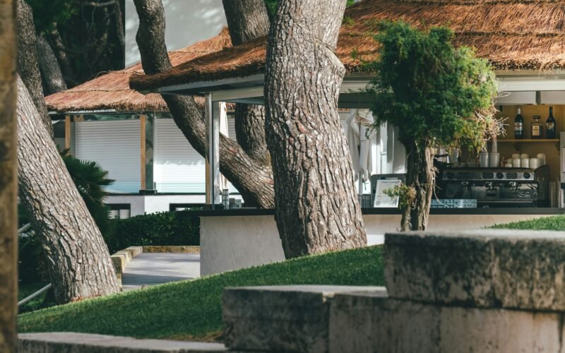 Ein Baum steht vor einem Haus auf Mallorca, fotografiert von Yves Scheuber, mit mediterraner Vegetation im Hintergrund.