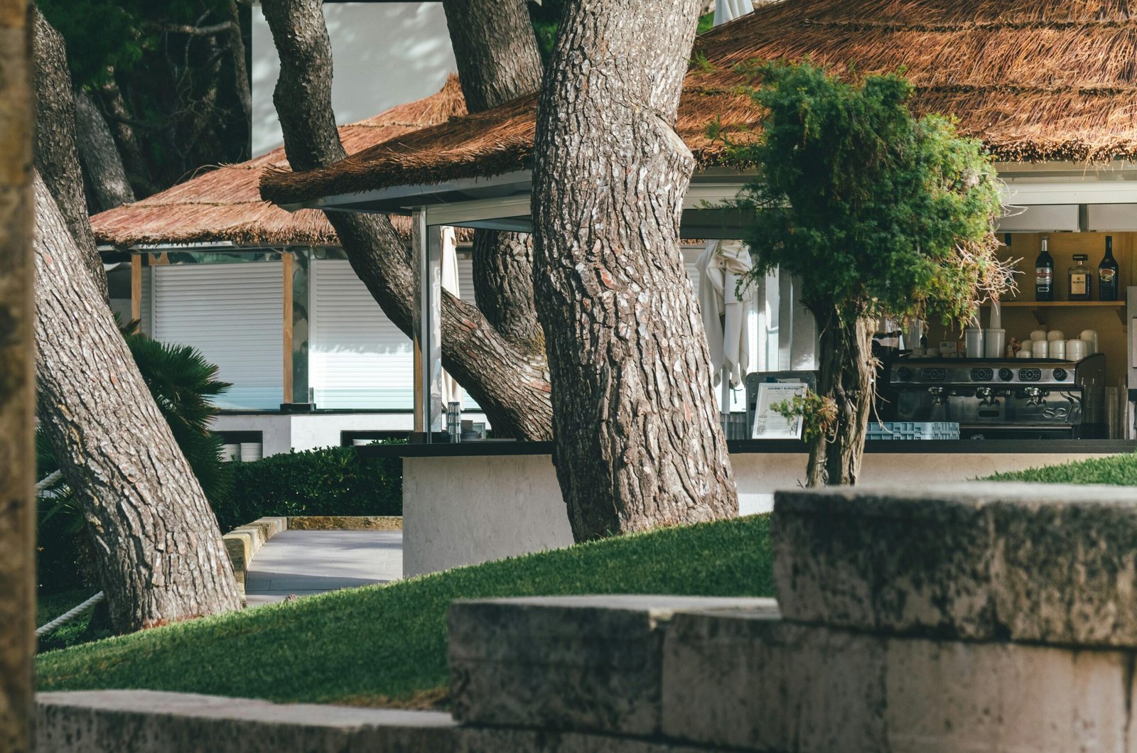 Ein Baum steht vor einem Haus auf Mallorca, fotografiert von Yves Scheuber, mit mediterraner Vegetation im Hintergrund.