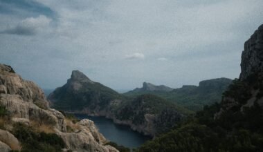 Ein Fluss, der durch ein grünes Tal auf Mallorca fließt, umgeben von Bäumen und Felsen, aufgenommen von Alex Foret.