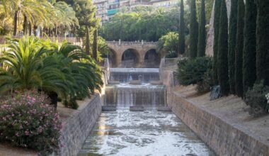 Ein Fluss fließt durch einen grünen Park auf Mallorca, umgeben von Bäumen und Vegetation, aufgenommen von Anthony Berardi.