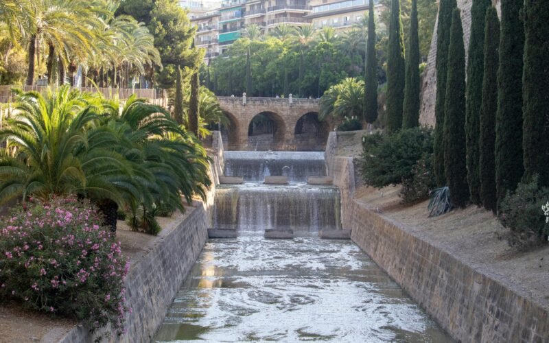 Ein Fluss fließt durch einen grünen Park auf Mallorca, umgeben von Bäumen und Vegetation, aufgenommen von Anthony Berardi.