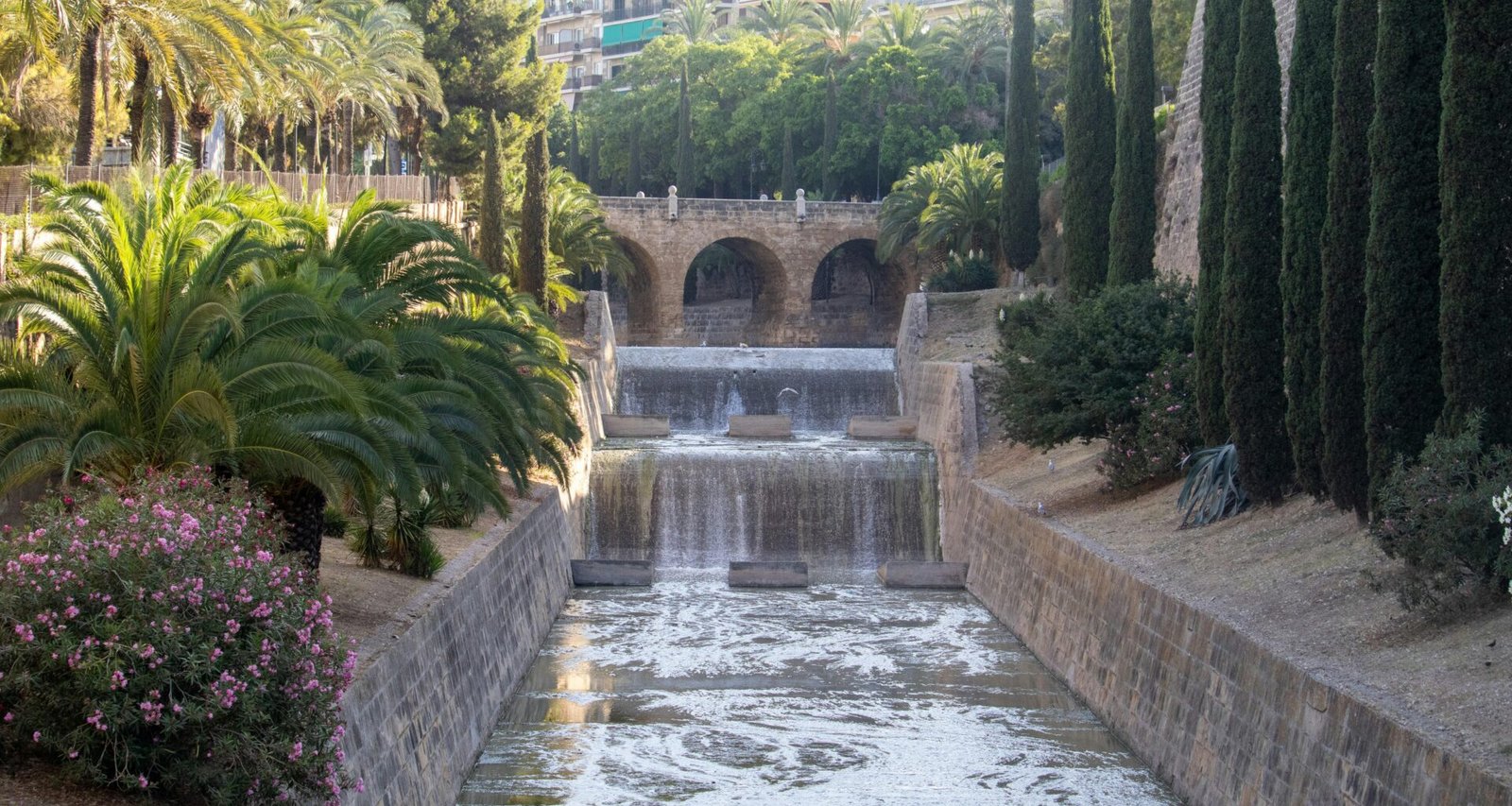 Ein Fluss, der durch einen grünen Park auf Mallorca fließt, umgeben von Bäumen und Natur, aufgenommen von Anthony Berardi.
