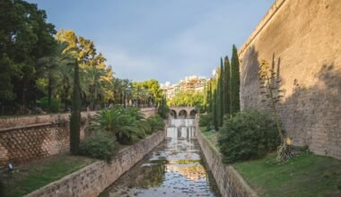 Ein Fluss, der durch einen grünen Park auf Mallorca fließt, umgeben von dichter Vegetation und Bäumen.
