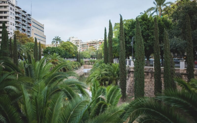 Ein Fluss auf Mallorca, umgeben von Palmen und hohen Gebäuden, aufgenommen von Monika Guzikowska.