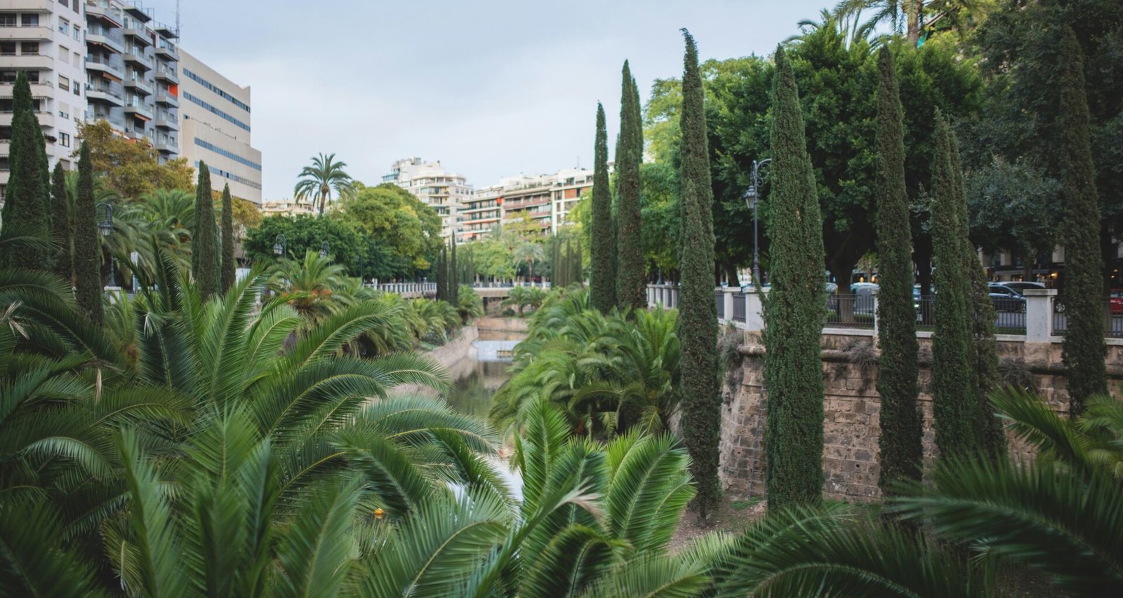 Ein Fluss auf Mallorca, umgeben von Palmen und hohen Gebäuden, aufgenommen von Monika Guzikowska.