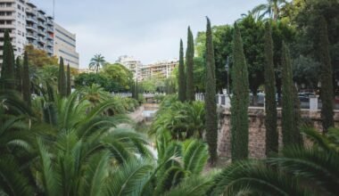 Ein Fluss auf Mallorca, umgeben von Palmen und hohen Gebäuden, aufgenommen von Monika Guzikowska.