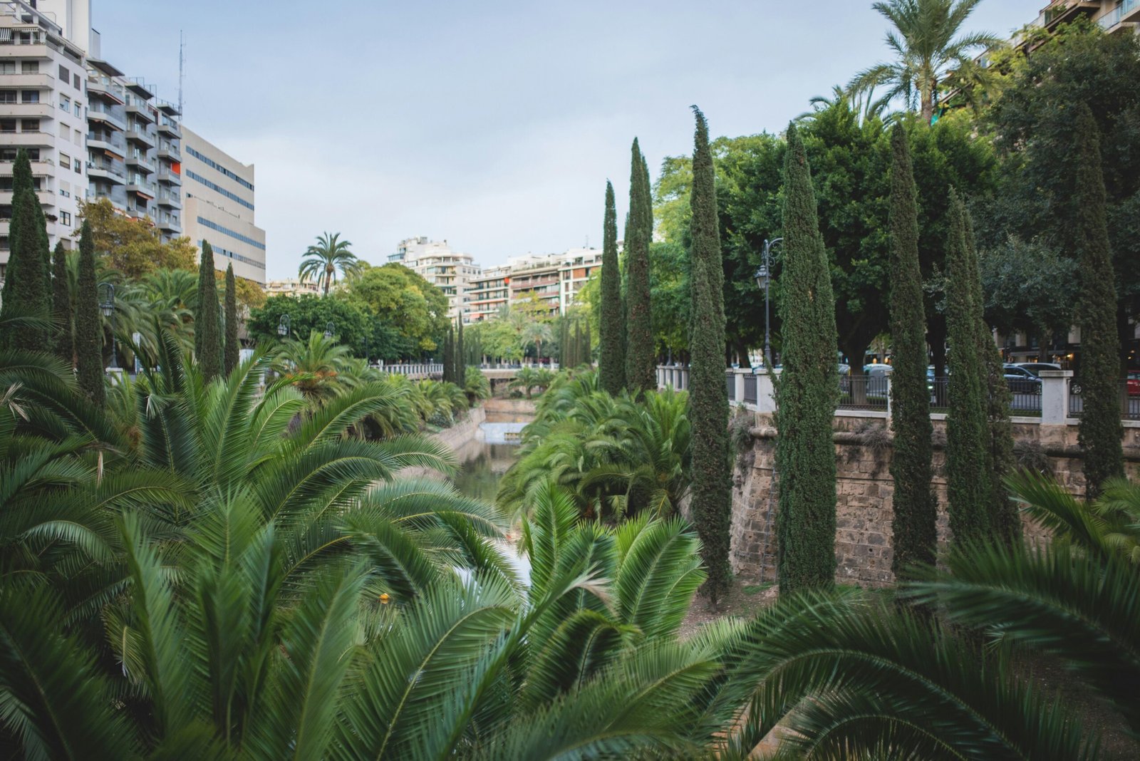 Ein Fluss auf Mallorca, umgeben von Palmen und hohen Gebäuden, fotografiert von Monika Guzikowska.