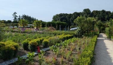 Garten auf Mallorca mit zahlreichen verschiedenen Pflanzenarten, fotografiert von Carnet de Voyage d'Alex