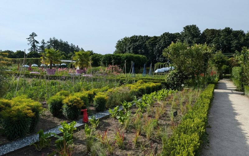 Garten auf Mallorca mit zahlreichen verschiedenen Pflanzenarten, fotografiert von Carnet de Voyage d'Alex