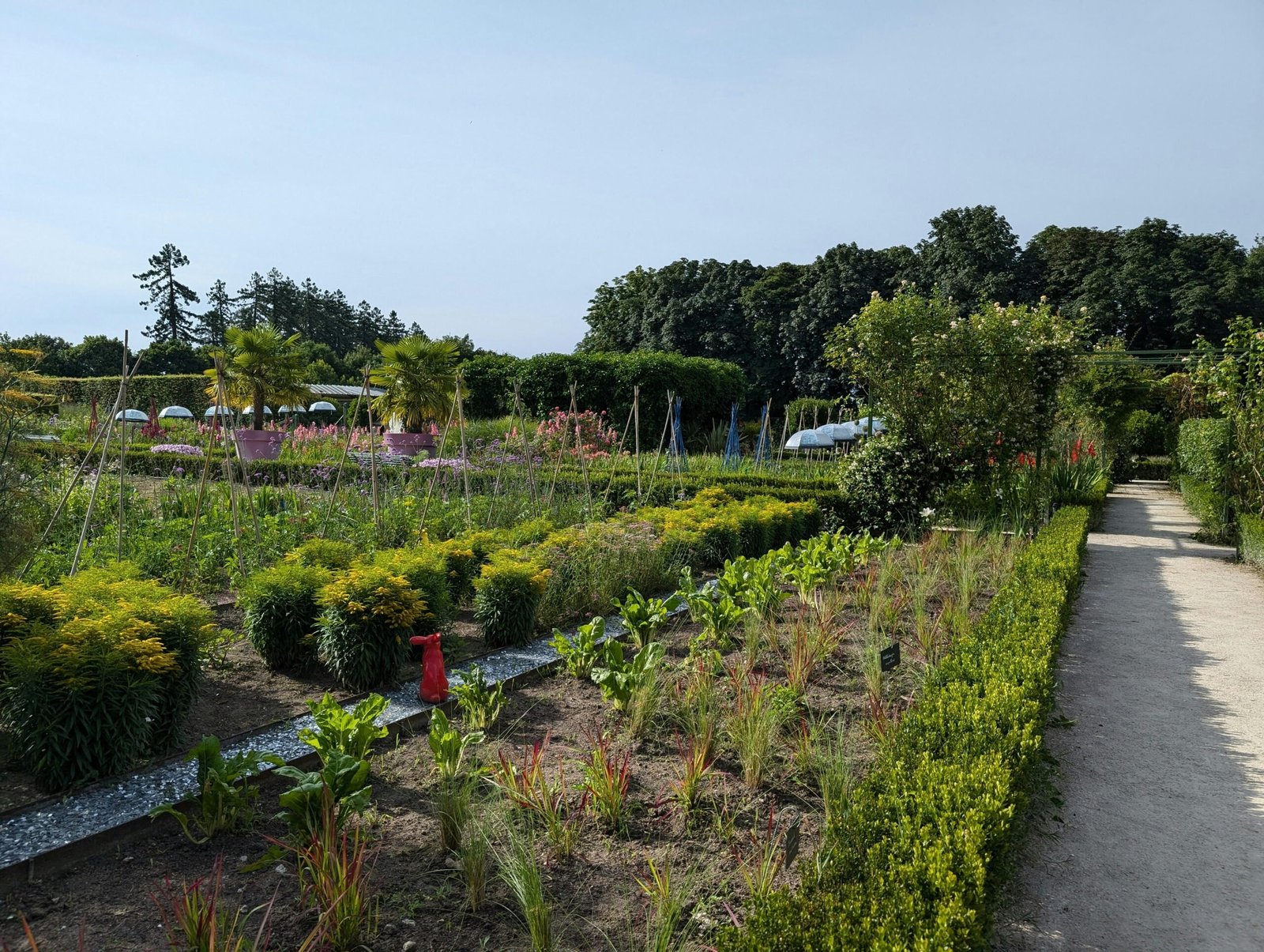 Garten auf Mallorca mit zahlreichen verschiedenen Pflanzenarten, fotografiert von Carnet de Voyage d'Alex