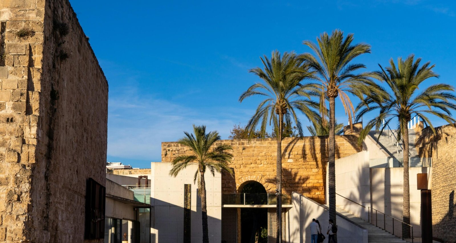 Gebäude mit Palmen vor einem klaren Himmel auf Mallorca, fotografiert von David Vives.