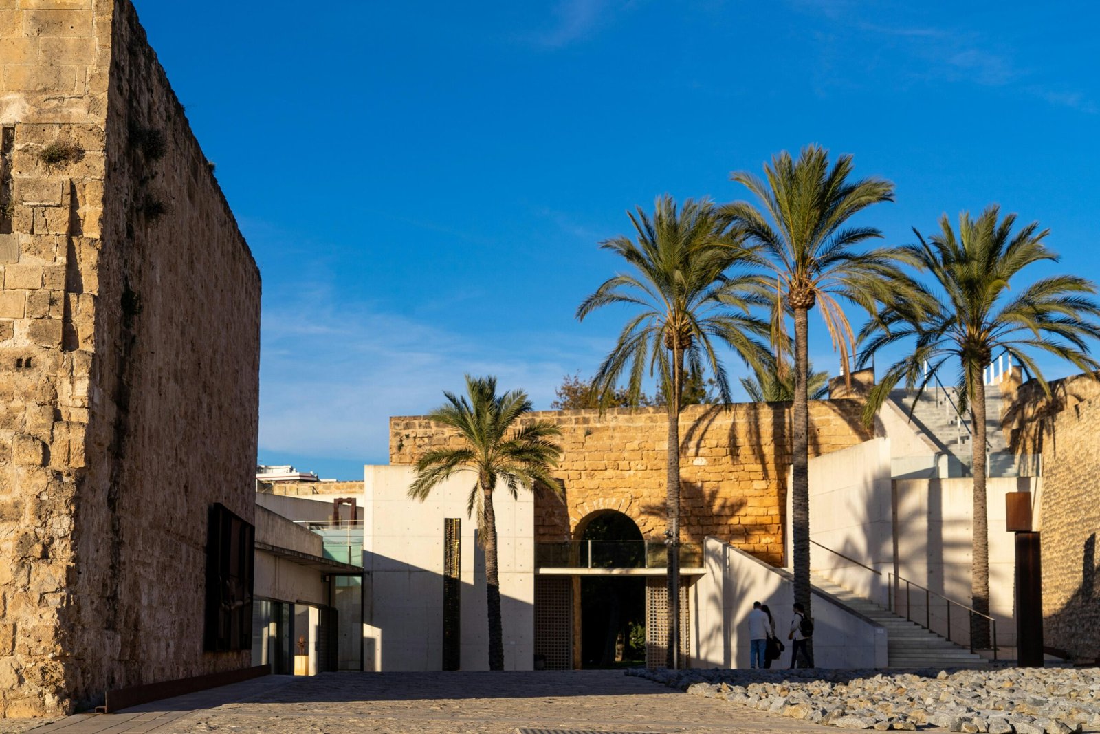Gebäude mit Palmen vor einem klaren Himmel auf Mallorca, fotografiert von David Vives.