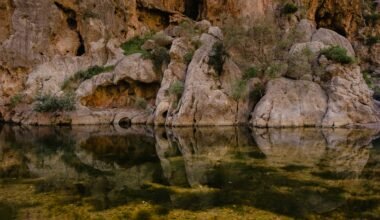 Ein Gewässer auf Mallorca, umgeben von Felsen und Gras, aufgenommen von Mariya, zeigt die ruhige Natur der Insel.