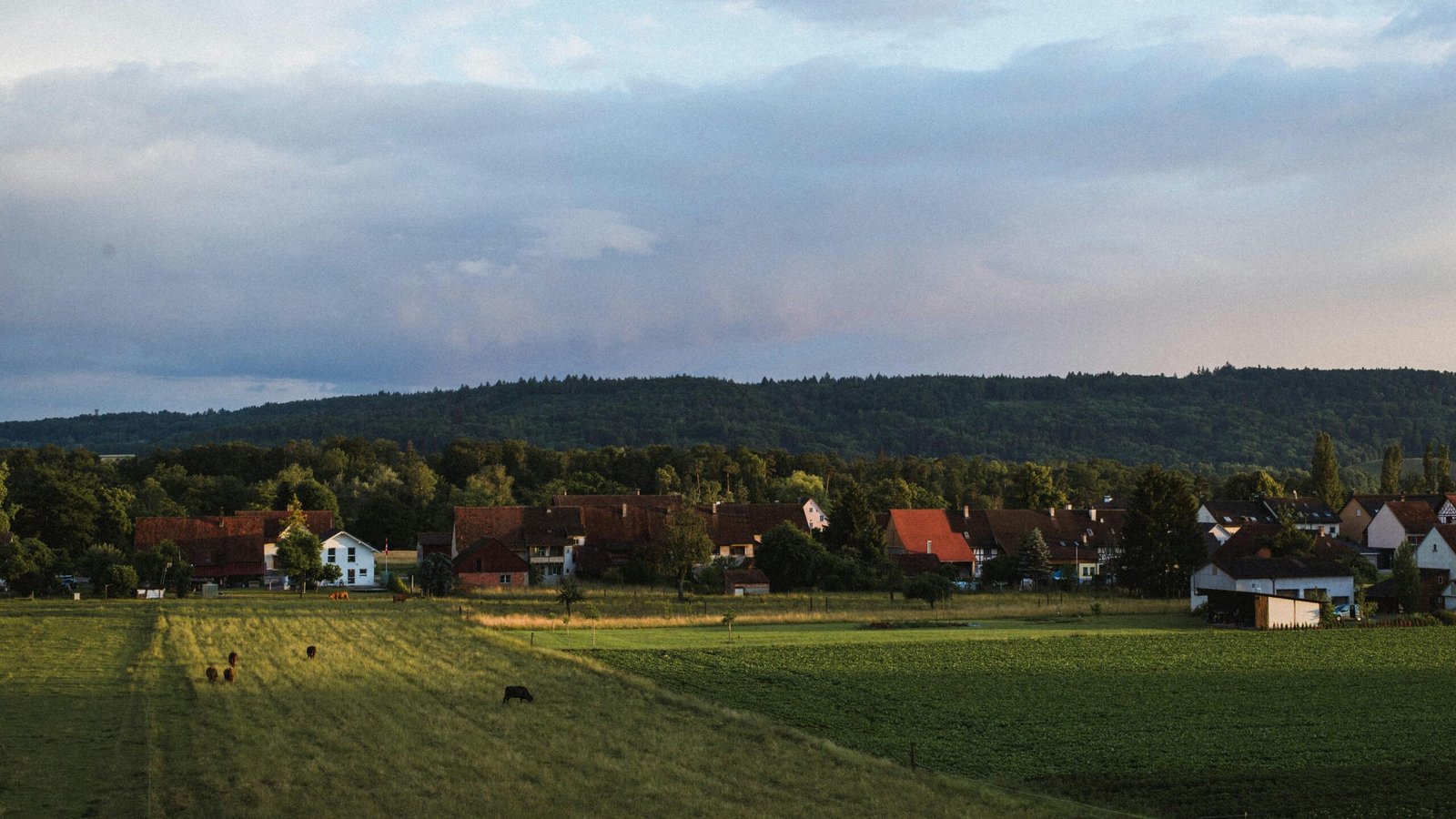 Grünes Feld mit Häusern im Hintergrund auf Mallorca, fotografiert von Gábor Veres.