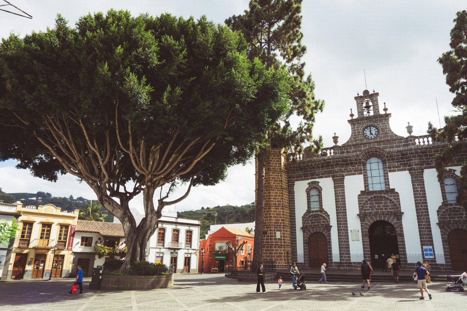 Großer Baum vor einem Gebäude auf Mallorca, fotografiert von Guillaume Didelet