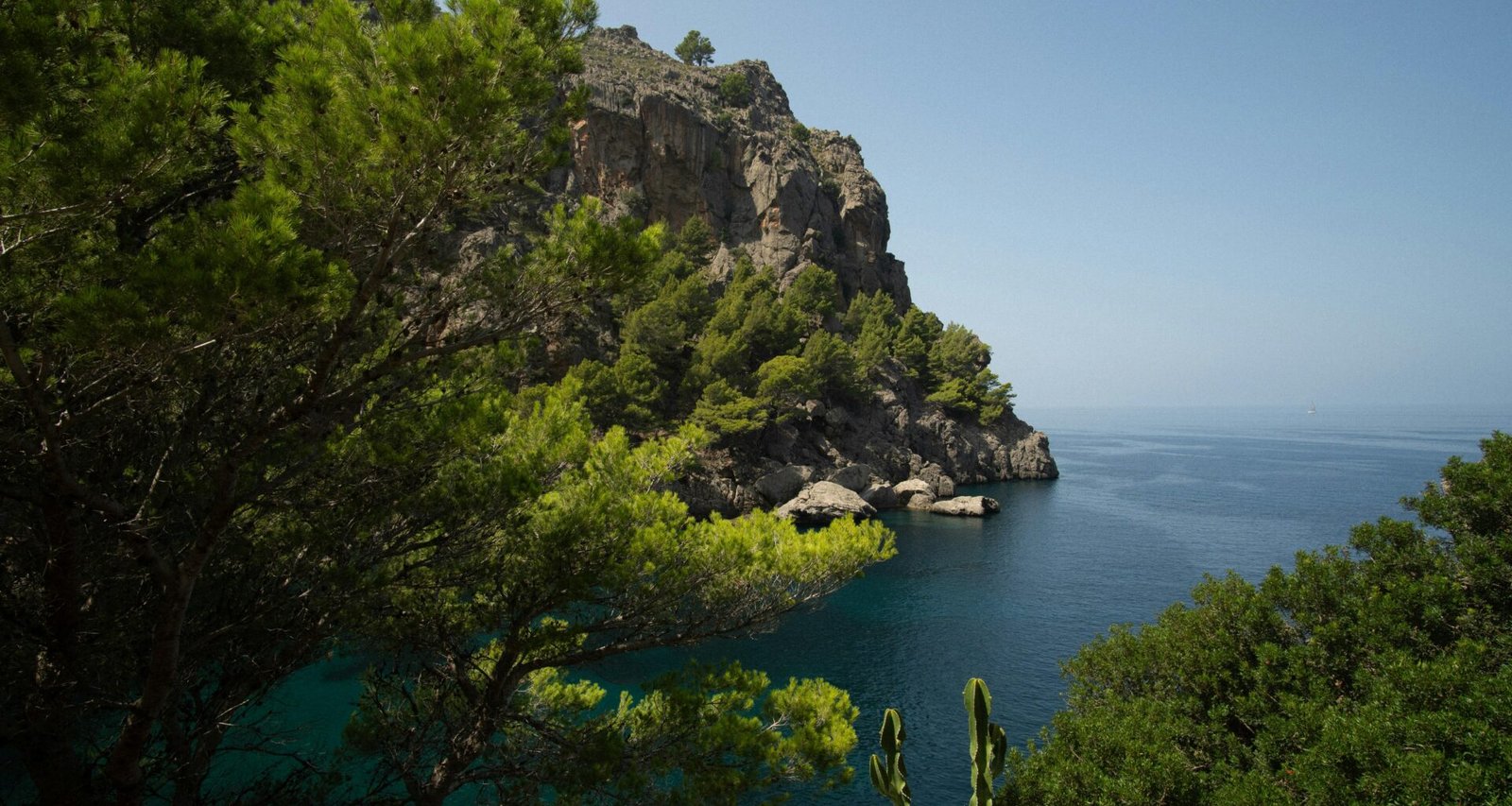 Großer Wassersee auf Mallorca, umgeben von Bäumen, fotografiert von Victor Rosario