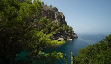 Großer Wassersee auf Mallorca, umgeben von Bäumen, fotografiert von Victor Rosario