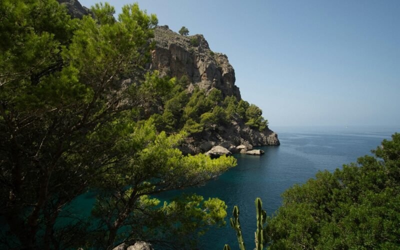 Großer Wassersee auf Mallorca, umgeben von Bäumen, fotografiert von Victor Rosario