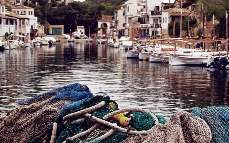Mehrere Boote liegen im Wasser in einem Hafen auf Mallorca, aufgenommen von Alex Kulikov.