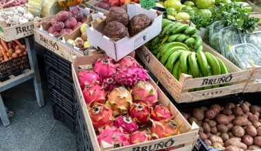 Bunte Körbe mit frischen Obst- und Gemüsesorten auf Mallorca, fotografiert von Linda Gerbec