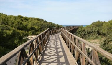 Holzsteg führt über Sandstrand zum offenen Meer auf Mallorca, aufgenommen von Tim Schmidbauer