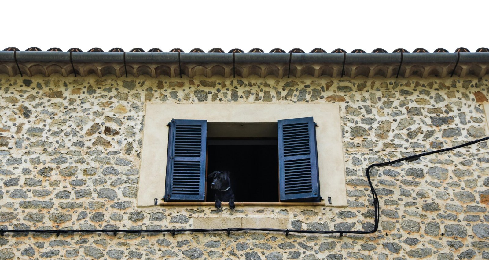 Hund schaut aus einem Fenster mit blauen Schiebeläden auf Mallorca, aufgenommen von Dylan Shaw