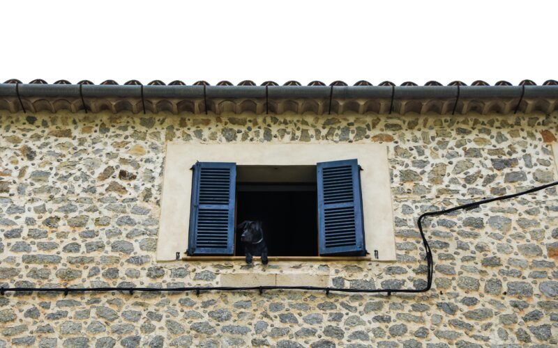 Hund schaut durch ein Fenster mit blauen Shutters auf Mallorca, aufgenommen von Dylan Shaw