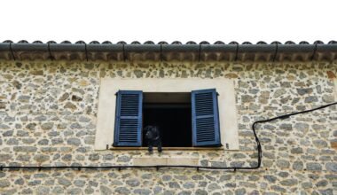 Hund schaut aus einem Fenster mit blauen Shutters auf Mallorca, aufgenommen von Dylan Shaw